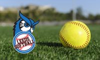 Leeds Softball branded background image featuring the blue jay owl mascot logo alongside a yellow softball on grass