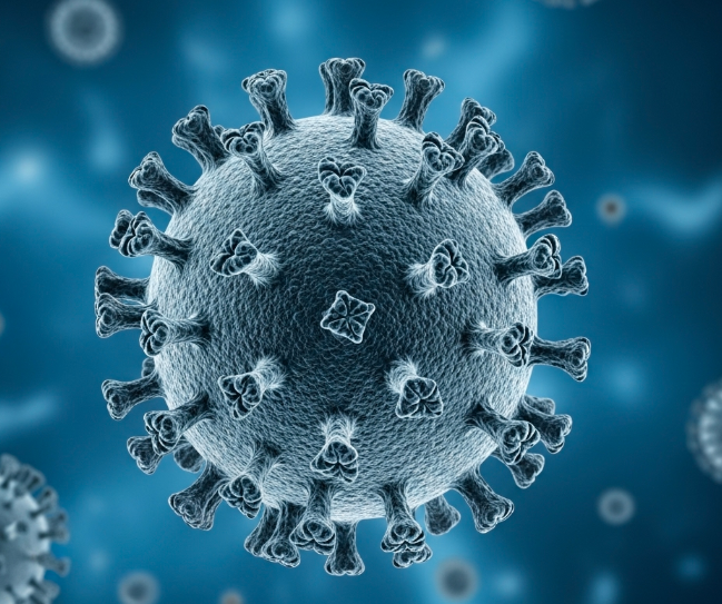 Illustration of a coronavirus particle